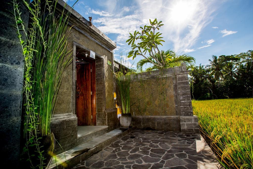Maluhia Haven Villa Ubud Buitenkant foto