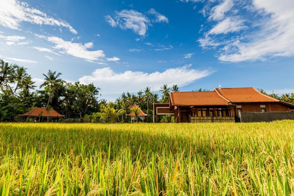 Maluhia Haven Villa Ubud Buitenkant foto